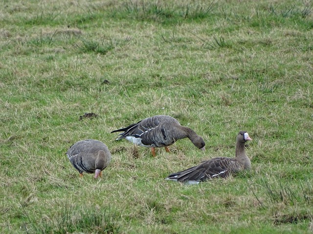 于竞技精神 于竞技精神