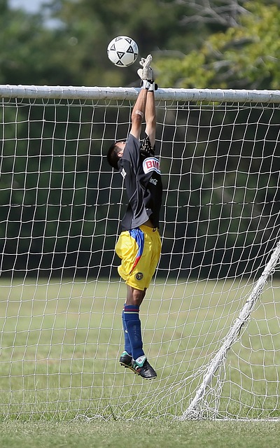 魅力与挑战 魅力与挑战