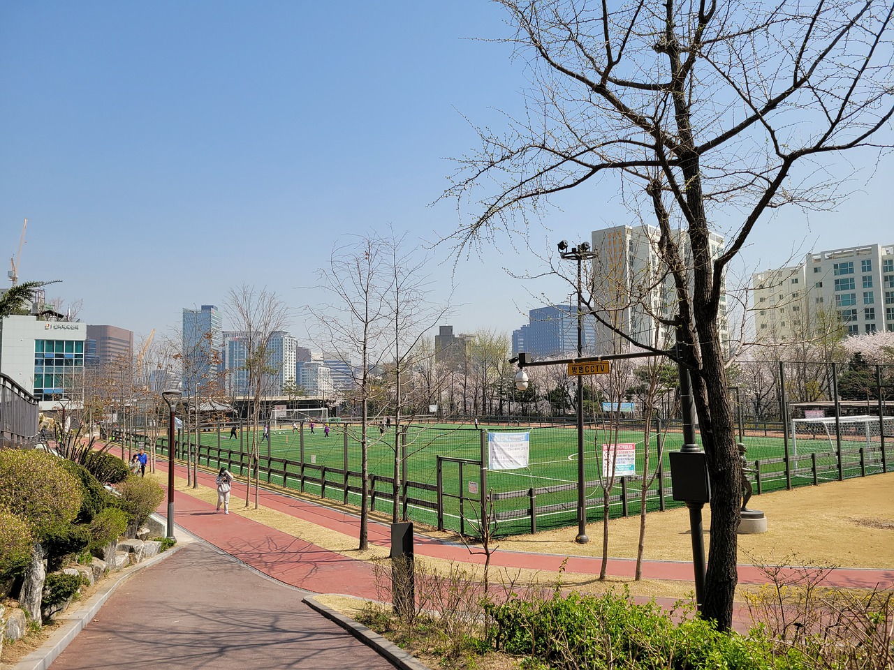 業運動員生 業運動員生