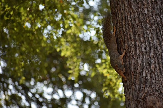 的影响有更 的影响有更