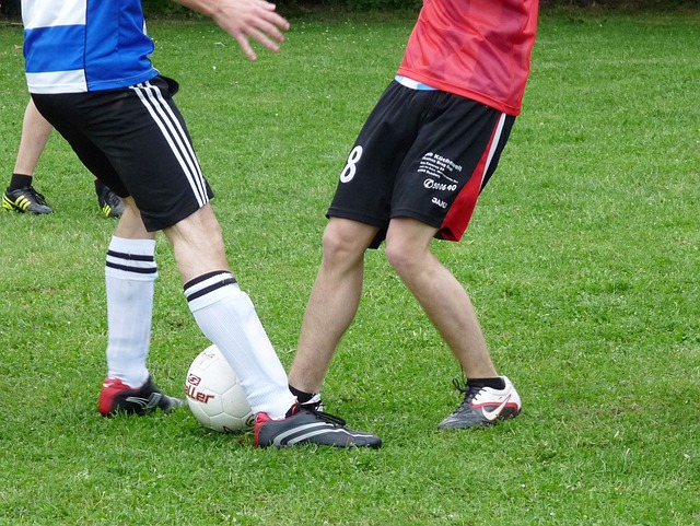 训练方案 训练方案