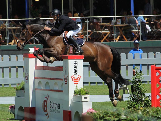 球迷对他的 球迷对他的