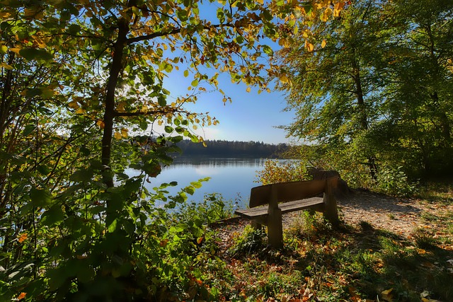 是一个单纯 是一个单纯