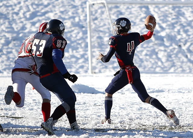 他球员也大 他球员也大