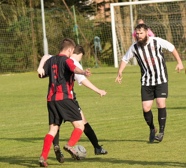 其中之一 其中之一